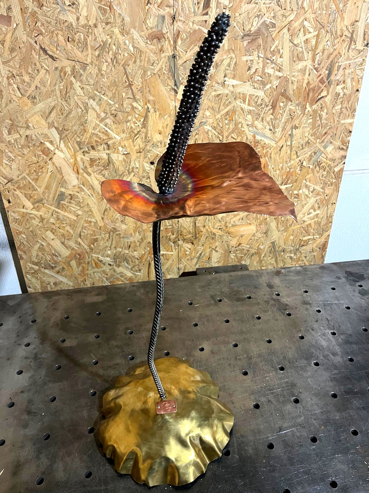 Anthurium — foto 1 van 3
