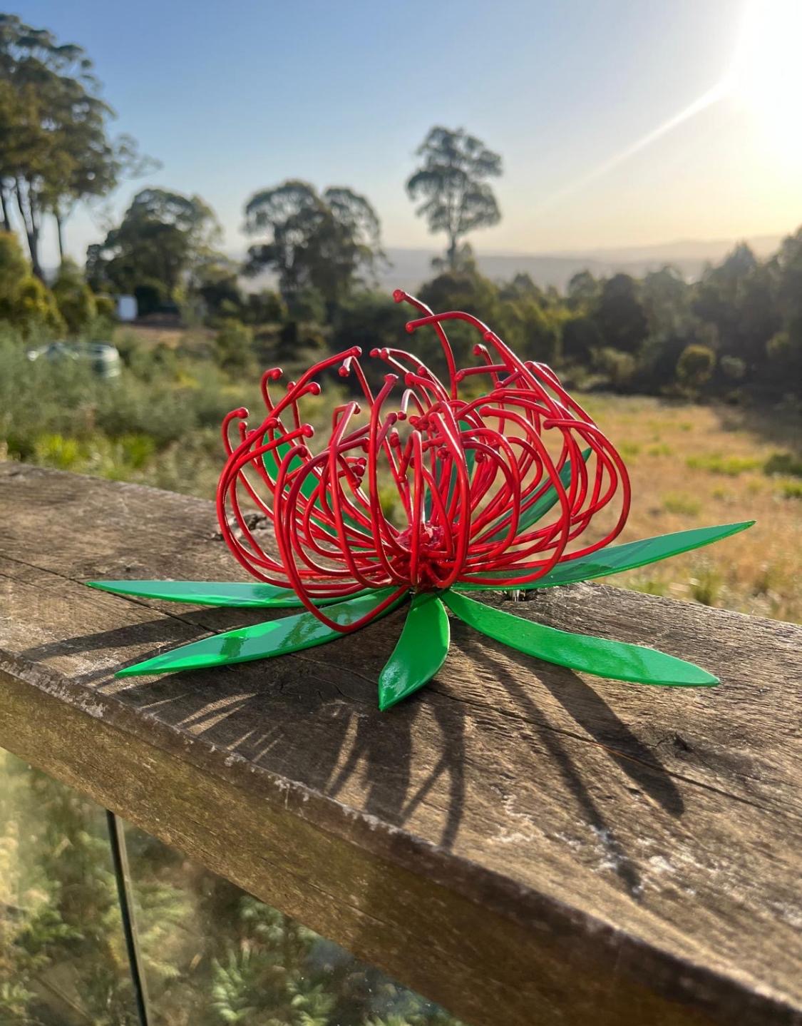 Waratah bloem